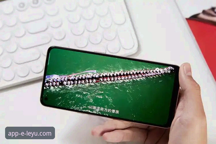 乐鱼体育平台官方下载安装心得：从新手到流畅体验的完整指南